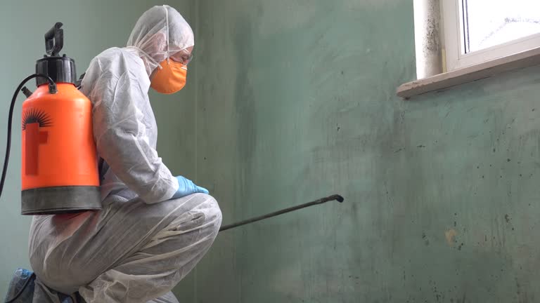 Why You Should Choose Our Mold Remediation Services in Hillburn, NY